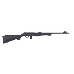 carabine 8117 17hmr